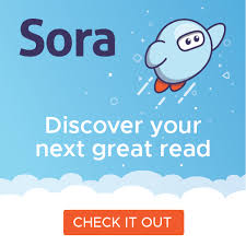 SORA by Overdrive